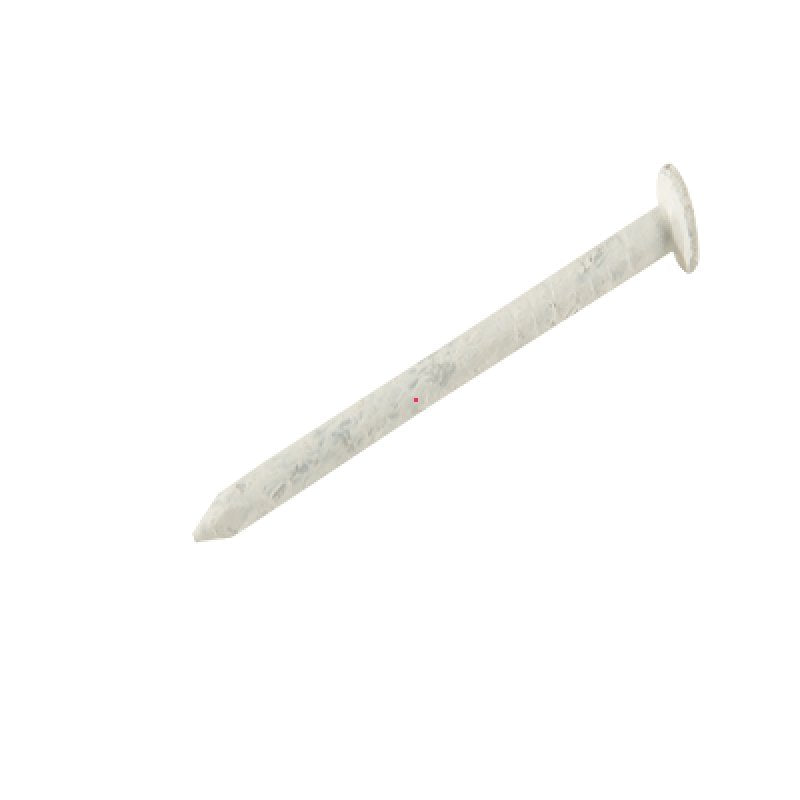 Smooth Shank Nails, Stainless Steel (White)